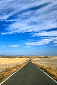Road near Almoda,Ebrobecken,Province Zaragoza,Aragon,Spain