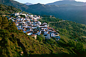 Weißes Dorf ,Benadalid bei Ronda,Provinz Malaga,Andalusien,Spanien