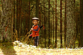 Tom im Wald, Lahemaa, Estland