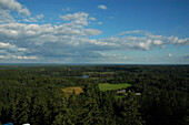 Blick vom Suur Munamägi (Großer Eierberg), Hanja NP, Voru, Estland
