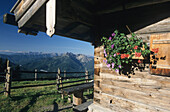 Detail of a block construction of an alpine hut with geraniums, Wildfeldalm, Bavarian range, Upper Bavaria, Germany