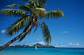 Kokospalme und Hobie Cat,Tokoriki Island Resort, Tokoriki Insel, Mamanuca Insel, Fiji