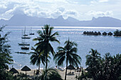 Kokospalmen, Segelboote und Moorea,Blick von Sofitel Maeva Beach Resort, Tahiti, Französisch Polynesien