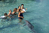 Delphinfütterung bei Dolphin Quest,InterContinental Beachcomber Resort, Moorea, Französisch Polynesien