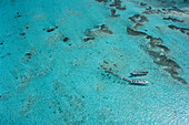 Luftaufnahme von Haifütterung,Bora Bora Lagoon, Französisch Polynesien