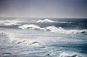 Windsurfers and Giant Waves,Near Hookipa Beach, Maui, Hawaii, USA