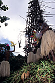 Pentecost Landdiving Ceremony,Pentecost, Vanuatu