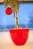 Red flower pot with christmas bauble