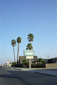 Palm trees and a sign at a street, San Francisco, California, USA