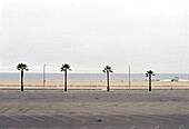 Palmen stehen an eienm leeren Parkplatz am Venice Beach, Los Angeles, Kalifornien, USA