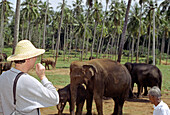 Tourist, elephants, near kandy, sri lanka