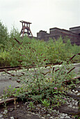 förderturm, zeche zollverein,  nordrhein westfalen, deutschland