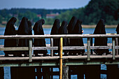 Benediktinerinnen auf einem Steg am Chiemsee, Frauenchiemsee, Bayern, Deutschland