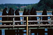 Benedictine nuns on jetty at lake Chiemsee, Frauenchiemsee, Bavaria, Germany