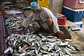 Fischmarkt in Maskat, Maskat, Oman