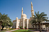 Dattelpalme und Jumeirah Moschee, Dubai, Vereinigte Arabische Emirate