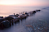 Leavings of a groyne and stones, coastline of Baltic Sea, Schleswig-Holstein, Germany
