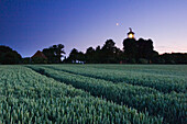 Lighthouse Staberhuk and field in the evening, Fehmarn Island, Schleswig-Holstein, Germany