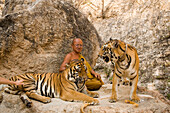 Abbot Phra Acharn Phoosit Khantidharo between tigers, Wat Pa Luangta Bua Yannasampanno Forest Monastery, Tiger Temple, Kanchanaburi, Thailand