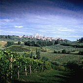 Blick über Weinfelder auf San Gimignano, Toskana, Italien