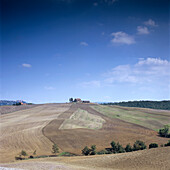 Felder unter blauem Himmel in der Toskana, Italien