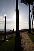 venice beach, Los Angeles, L.A., Caifornia, U.S.A., United States of America