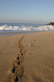 Strand, Fußspur, Fussspur im Sand, Morgen, morgens, Maunalua Bucht, Honolulu, Vereinigte Staaten von Amerika, U.S.A.