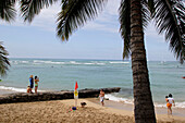 Palme, Palmenstrand, Baden, Strandleben, Touristen, Waikiki Beach, Honolulu, Vereinigte Staaten von Amerika, U.S.A.