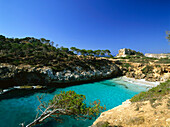 Einsame bucht Cala S'Amonia, bei Santanyi, Mallorca, Spanien
