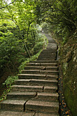Pilgerweg, Steintreppe im Wald, Huang Shan, Provinz Anhui, China, Asien