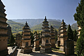 Tombstones of famous monks and abbots near the Shaolin Monastery, Forest of Dagobas, Pagoda Forest, Taoist Buddhist mountain, Song Shan, Henan province, China