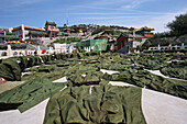 military coats can be rented out, summit, Tai Shan, Shandong province, Taishan, Mount Tai, World Heritage, UNESCO, China, Asia