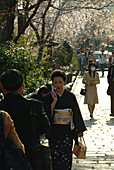 Japanese woman with mobile phone, cherry blossoms, Kyoto, Japan