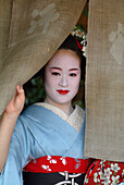 Eine Geisha in der Ausbildung, Maiko Masayo, Kyoto, Japan