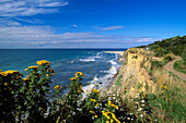 Steep Coast near Ahrenshoop, Fischland, Baltic Sea, Mecklenburg-Vorpommern, Germany