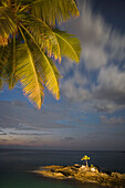 Illuminated Palm Trees at Night,The Northolme Hotel & Spa, Glacis, Mahe Island, Seychelles