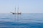 Segelboot Sea Pearl, nahe Praslin Island, Seychellen