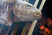 Fisch auf Grill im Loutier Coco Restaurant, Grand Anse Beach, La Digue Island, Seychellen