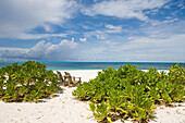 Strand mit Liegestühlen, Taj Denis Island Resort, Denis Island, Seychellen