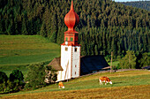 Church, Urach, Black Forest, Baden-Wuerttemberg, Germany
