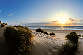 Dunes at sunset, North Sea, Sylt Island, Westerland, Schleswig Holstein, Germany