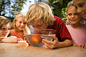 Junge will in einen Apfel in einer Wasserschüssel beißen, Kindergeburtstag