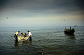 Drei Fischer stehen im Wasser und fischen mit einem Netz, Ahlbeck, Usedom, Mecklenburg-Vorpommern, Deutschland
