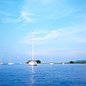 Sailboats anchoring in a bay, Dalmatia, Croatia