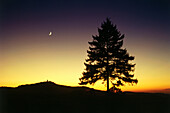 Landscape in an evening mood at Nuerburg, Rhineland-Palatinate, Germany