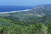 Sugarcane Field & East Coast,Cherry Tree Hill, St. Andrew, Barbados, Carribean