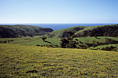 Ein Küstenlandschaft, Kangaroo Island, Südaustralien, Australien