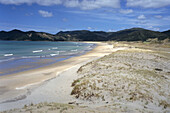 Ein Strand, Waikawau Bay, Coromandel Peninsula, Nordinsel, Neuseeland