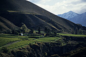 Ein Weingut in Kawarau Gorge, Chard Farm Winery, in der Nähe von Queenstown, Südinsel, Neuseeland