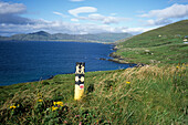 Beara Way Signpost, Beara Peninsula, near Garnish, County Cork, Ireland
